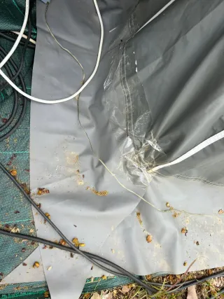 Avance Caravana Talla 1050