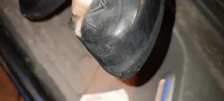 La Sportiva Solution Gato Talla 41