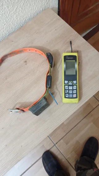 Collar GPS para Perro con Mando