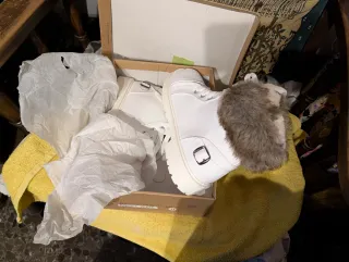 Botines polipiel con pelo y cordones.