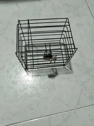 Jaula negra con candado