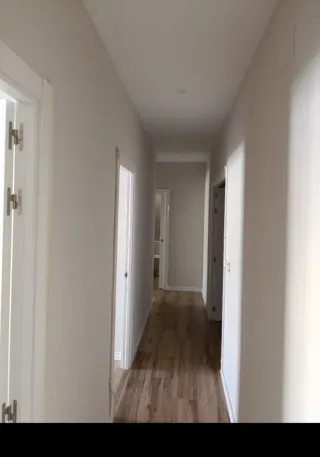 Servicios de pintura profesional