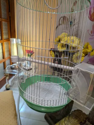 Jaula para pájaros verde y plateada