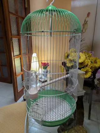 Jaula para pájaros verde y plateada