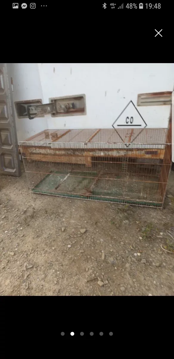 2 Grandi Gabbie da 100 cm