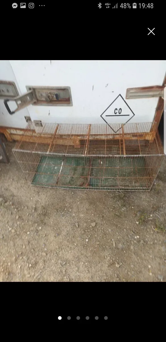 2 Grandi Gabbie da 100 cm