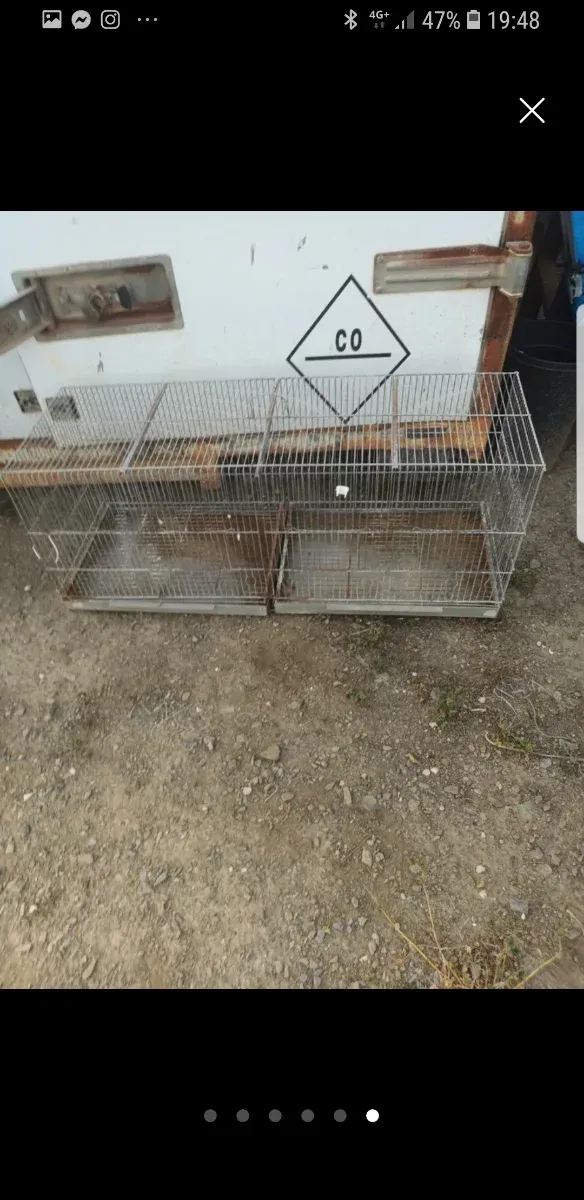 2 Grandi Gabbie da 100 cm