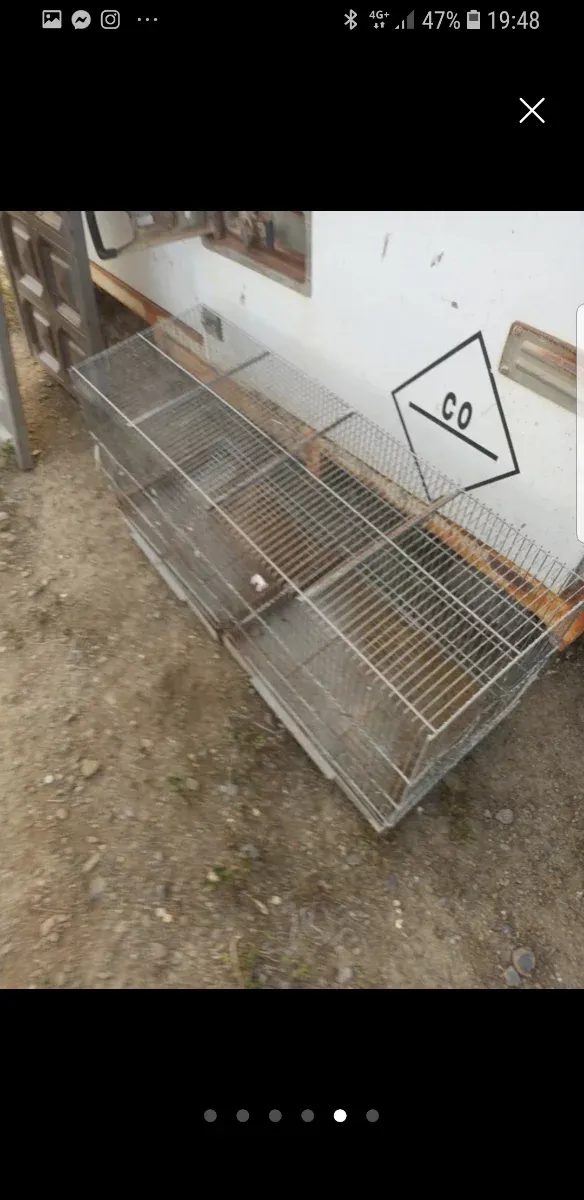 2 Grandi Gabbie da 100 cm