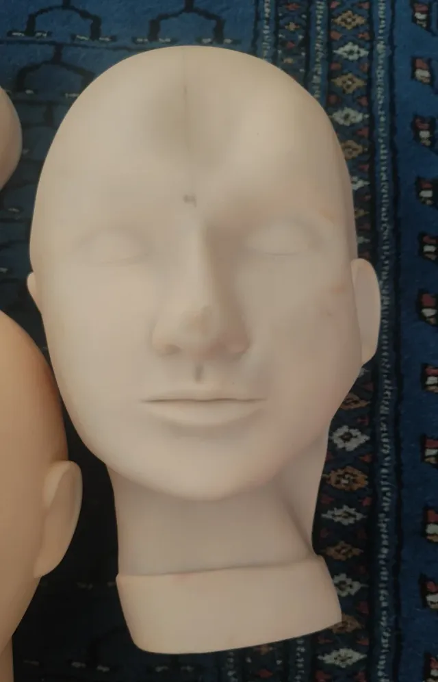 Silicona prácticas de tatuaje/micropigmentación