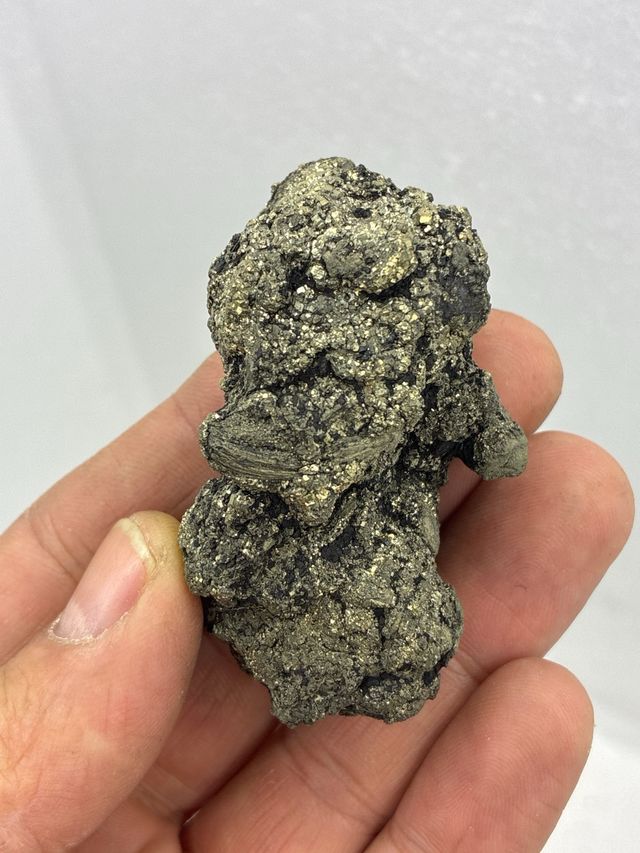 Minerales Pirita y Xilopalo Teruel