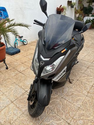 wottan storm-t  2022 CON CARNET B