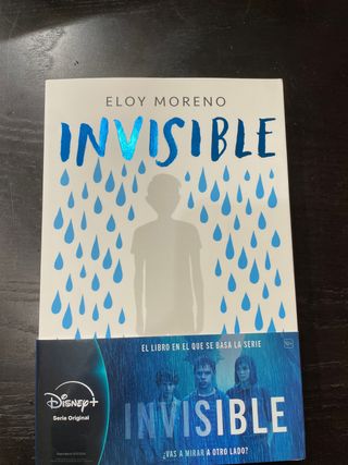 Invisible / Invisible (Spanish Edition)