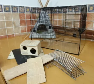 Jaula para roedores con múltiples accesorios