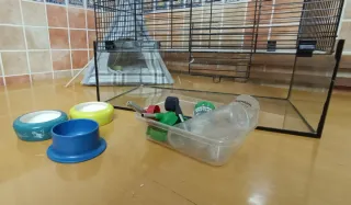 Jaula para roedores con múltiples accesorios