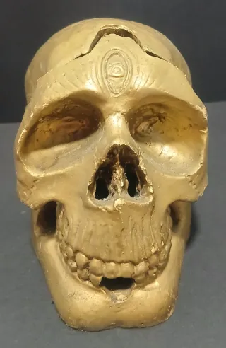 Calavera Dorada Decoración