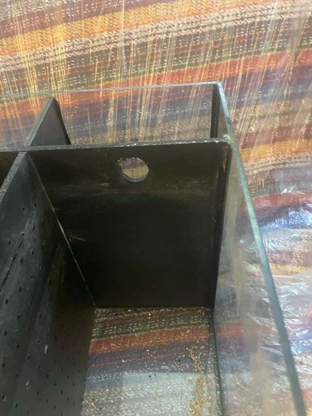 Acuario Betta 4 compartimentos