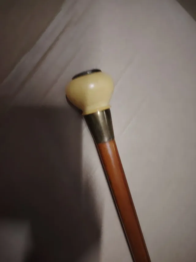 Bastone da passeggio con ferro di cavallo e osso