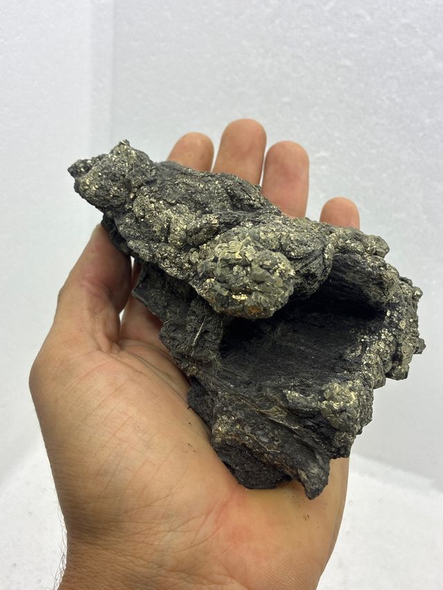 Minerales Xilopalo y Pirita