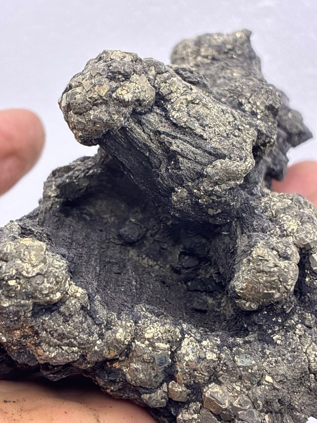 Minerales Xilopalo y Pirita