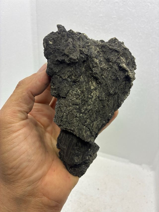 Minerales Xilopalo y Pirita