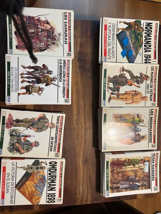 Lote di libri Eserciti e Battaglie Osprey