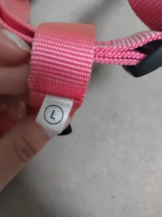 Pettorina cane taglia L di taglia media e grande