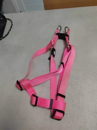 Pettorina cane taglia L di taglia media e grande