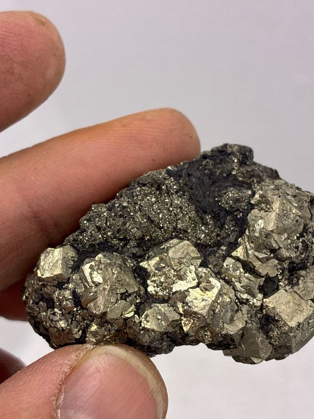 Minerales Pirita y Xilopalo