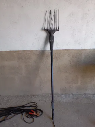 Vareadora aceitunas eléctrica