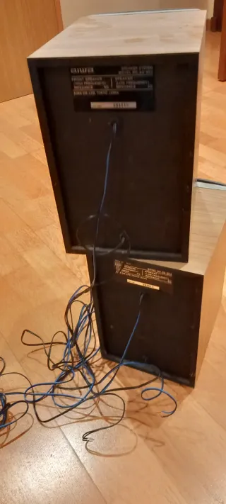 Altavoces Aiwa Madera y Plata Sx-m55