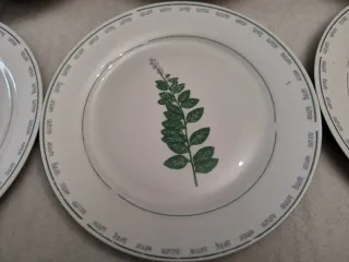 Juego de 9 platos de porcelana con hojas verdes.