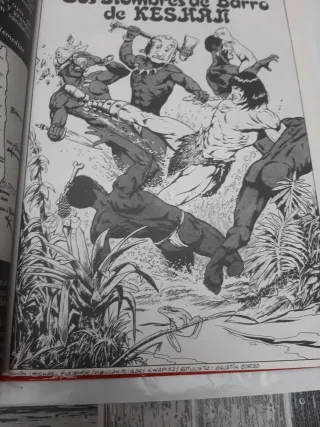 17 TOMO RETAPADO DE LA ESPADA SALVAJE DE CONAN