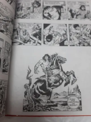 17 TOMO RETAPADO DE LA ESPADA SALVAJE DE CONAN