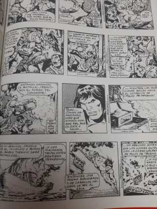 17 TOMO RETAPADO DE LA ESPADA SALVAJE DE CONAN