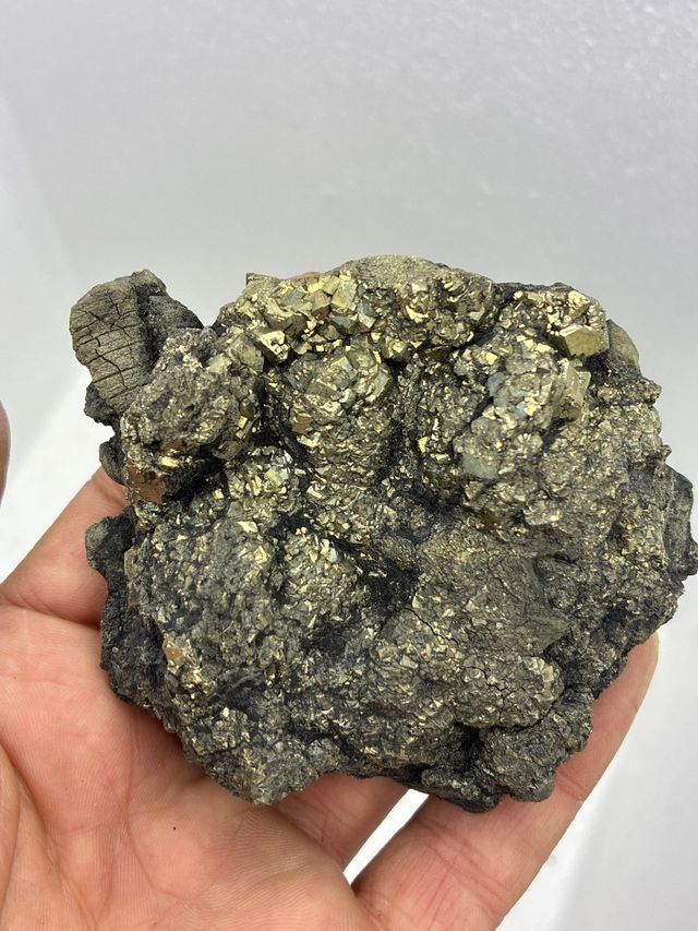 Pirita y Xilopalo Minerales