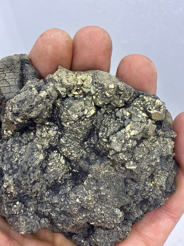 Pirita y Xilopalo Minerales