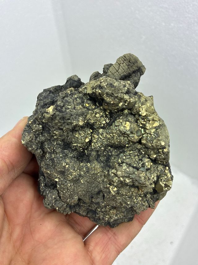 Pirita y Xilopalo Minerales