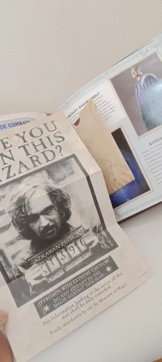 LiBRO J.K. Rowling Wizarding World: artes Oscuras