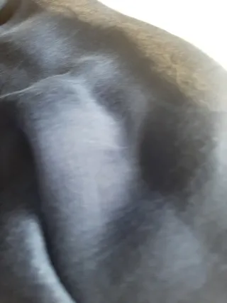 Sciarpa/stola Pennyblack blu elettrico in seta