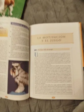 El gran libro del entrenamiento de tu perro