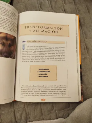 El gran libro del entrenamiento de tu perro