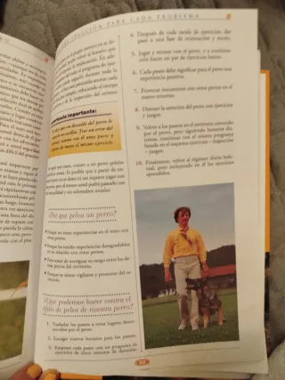 El gran libro del entrenamiento de tu perro