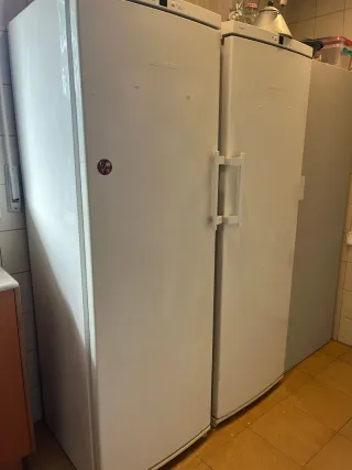 Nevera vertical y congelador Liebherr