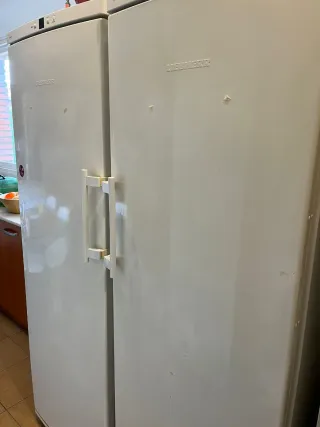 Nevera vertical y congelador Liebherr