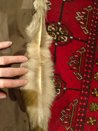 Abrigo de piel de lobo