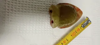 Búho de mármol verde