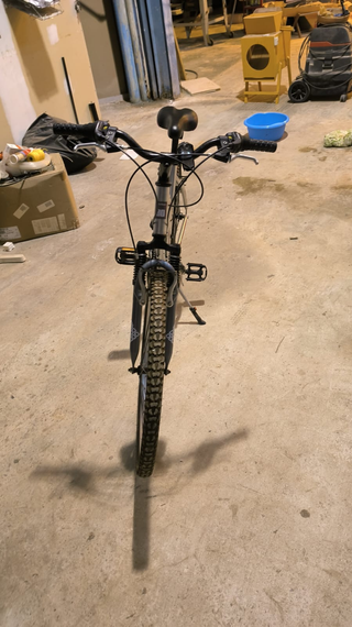 Bicicleta de montaña plateada