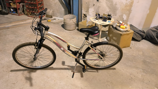 Bicicleta de montaña plateada