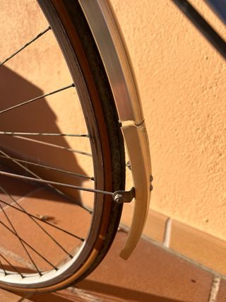 Bicicleta clásica vintage