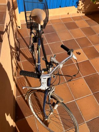 Bicicleta clásica vintage